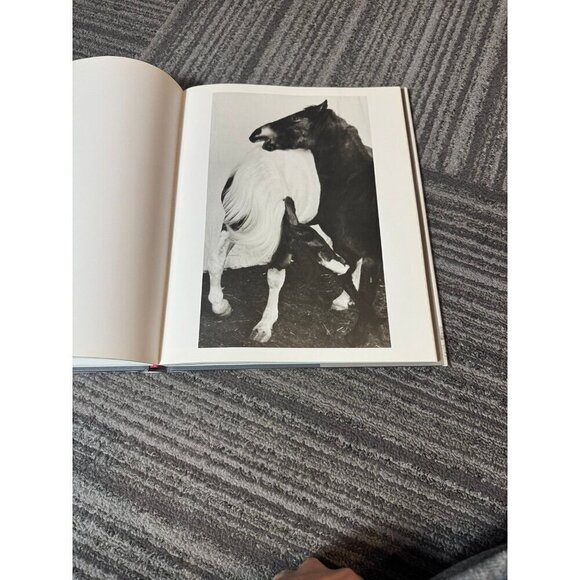 Heart of the Horse Juliette Ban otteren photography coffee table book MINT - Picture 4 of 8